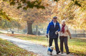 Seniors Walking Their Dog In The Fall